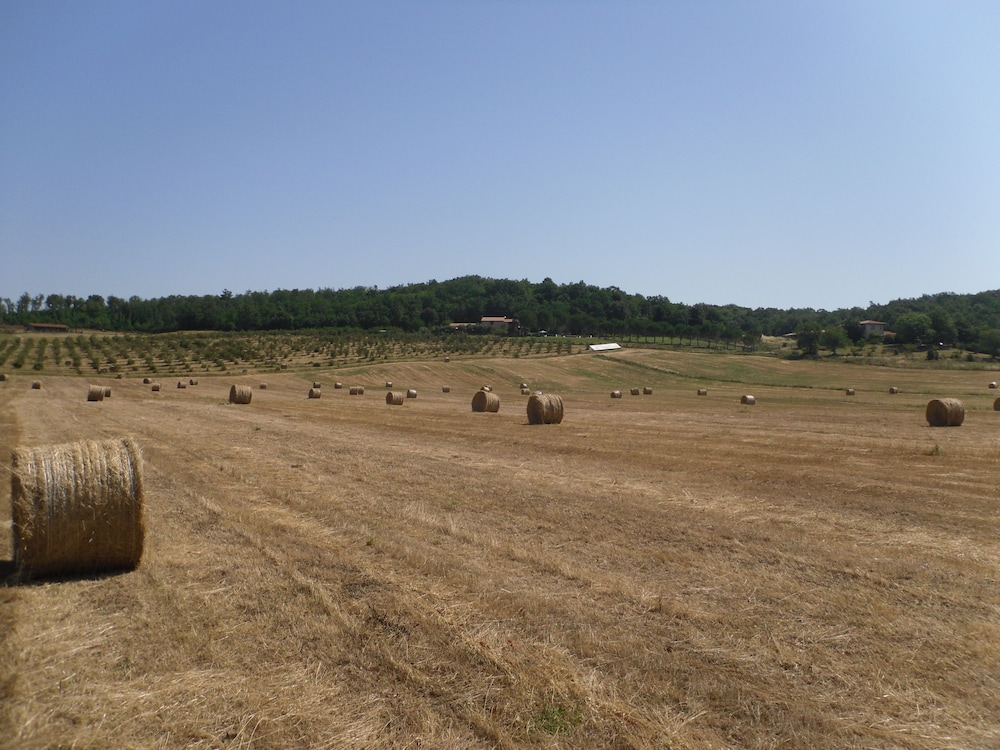 Borgognano Farm House