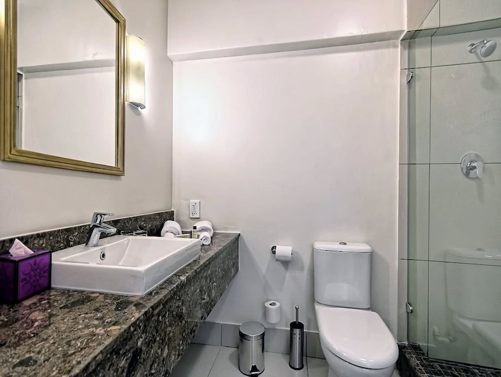 Johannesburg Vacations - Ascot Boutique Hotel - Property Image 12