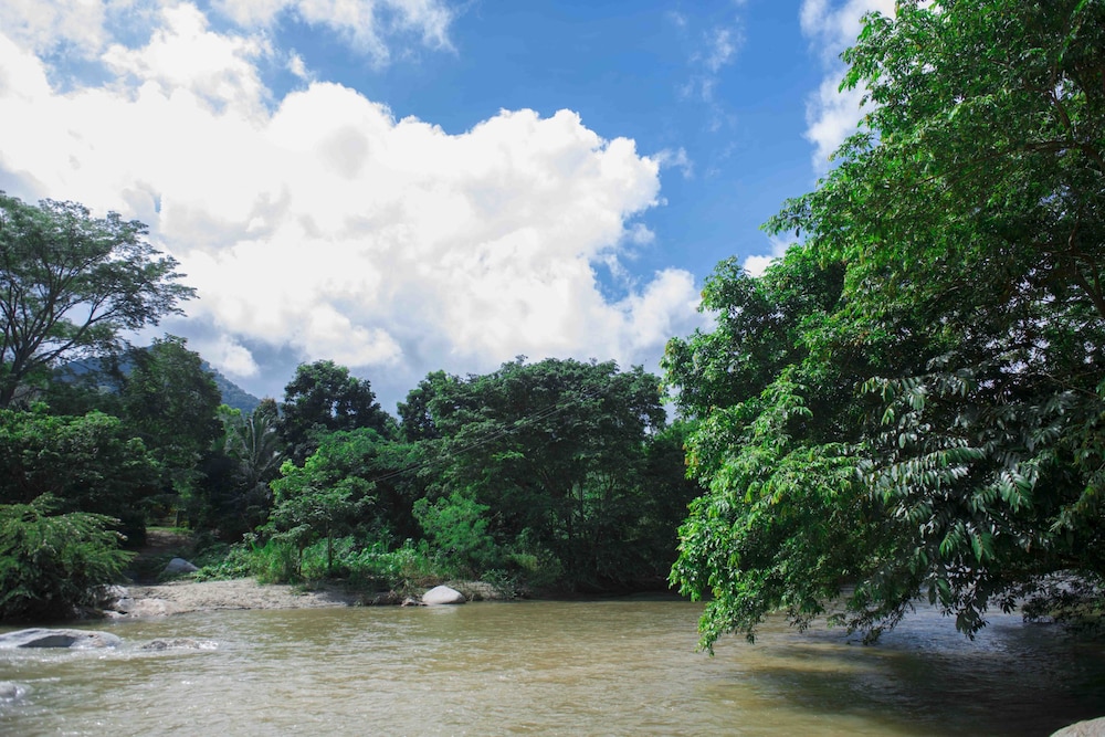 Posadas Ecoturisticas Seineken
