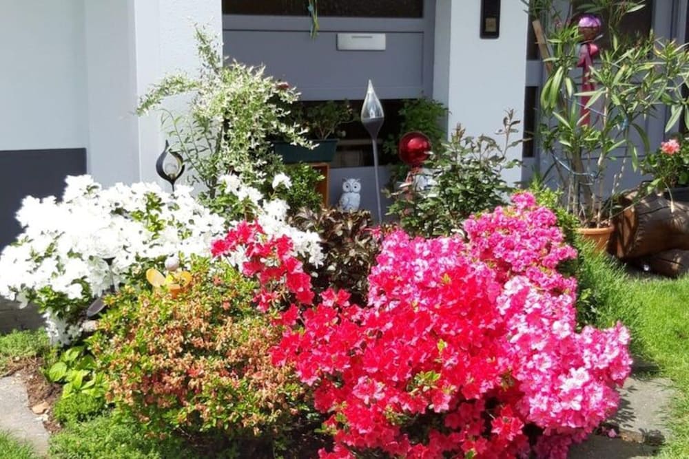 Apartment in Sallneck Near Nonnenmattweiher Lake