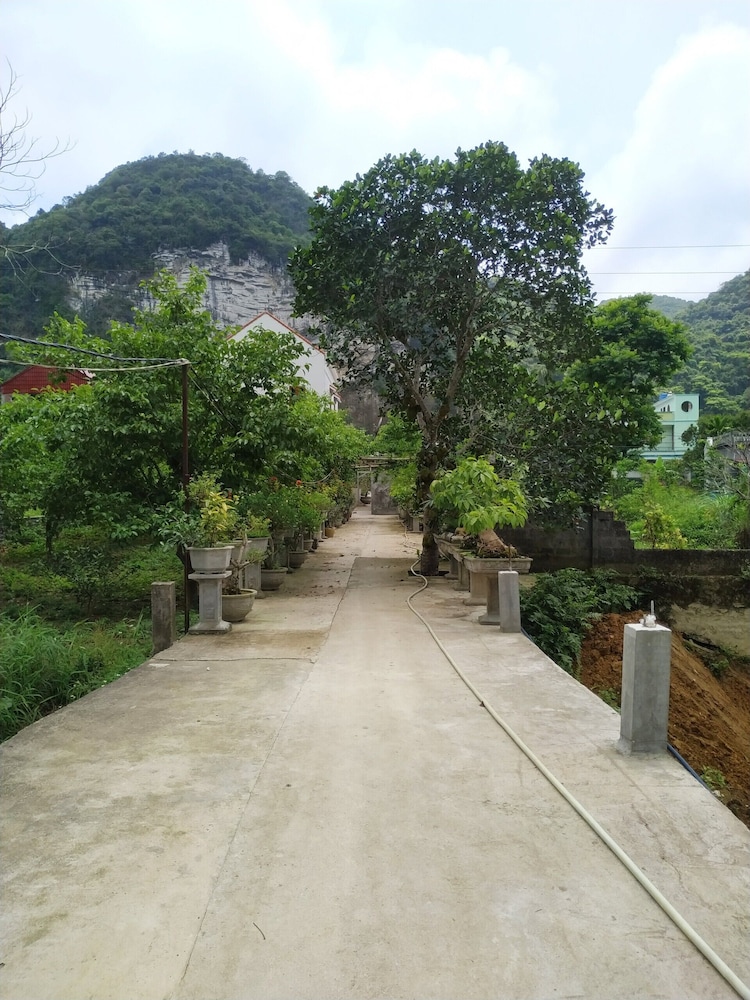 Photo 17