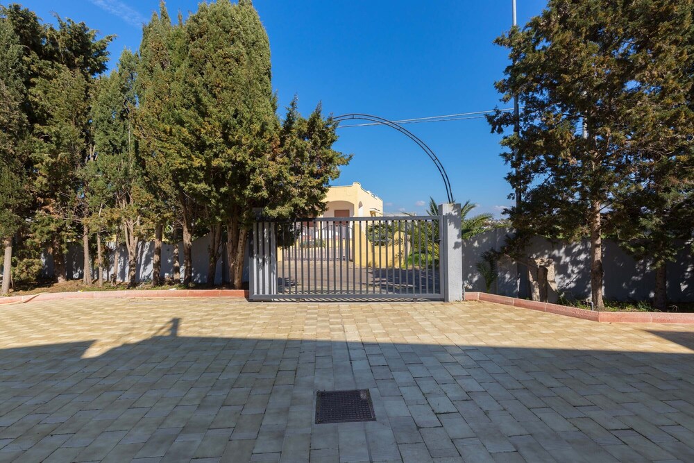 Photo 21