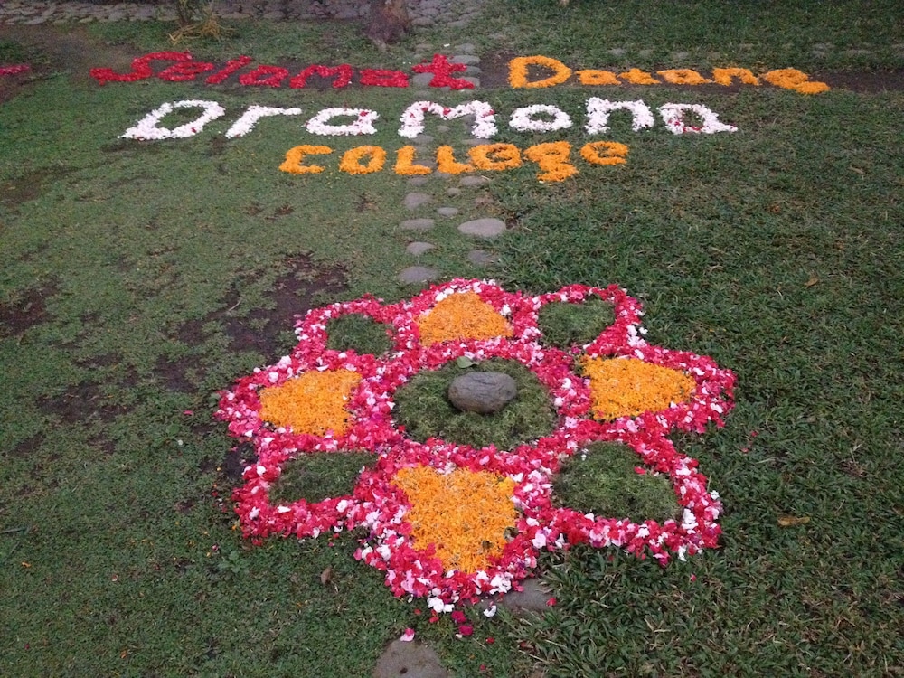 Omunity Bali