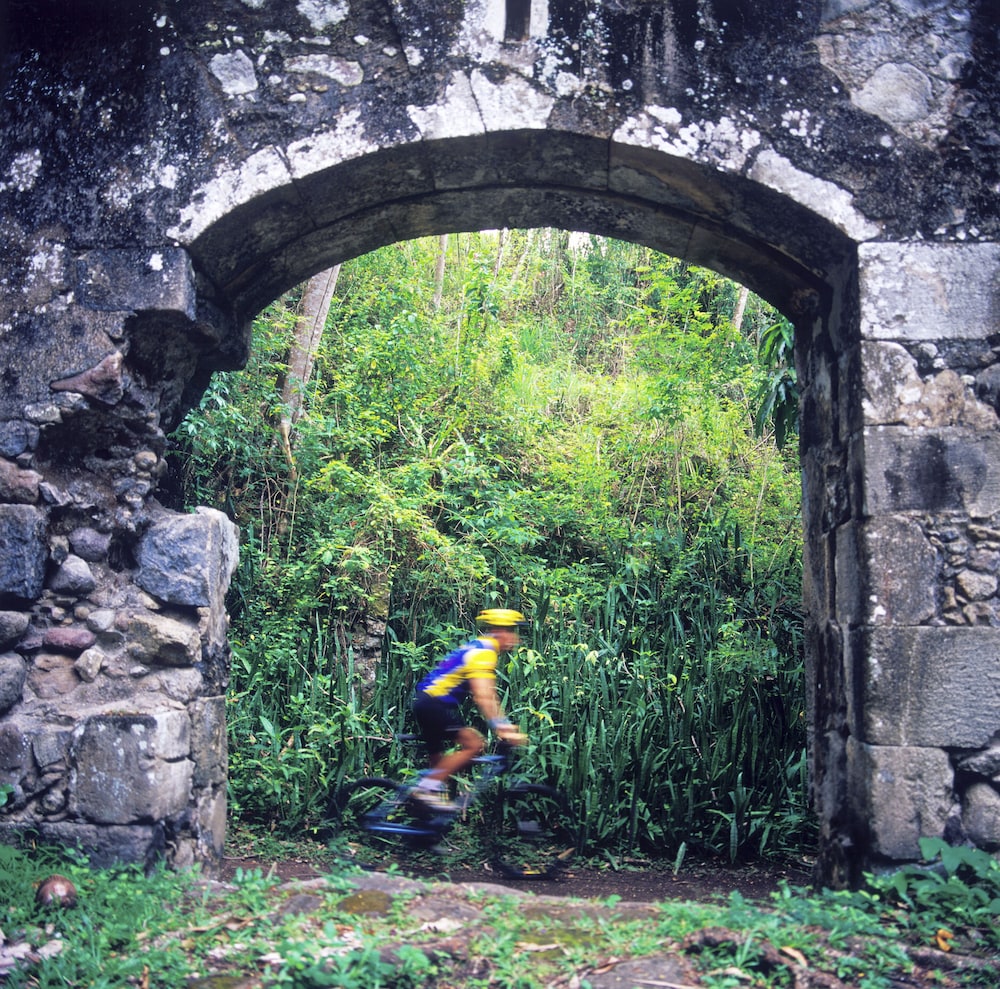 Photo 46