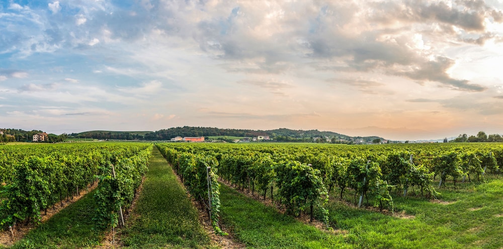 Tenuta La Presa
