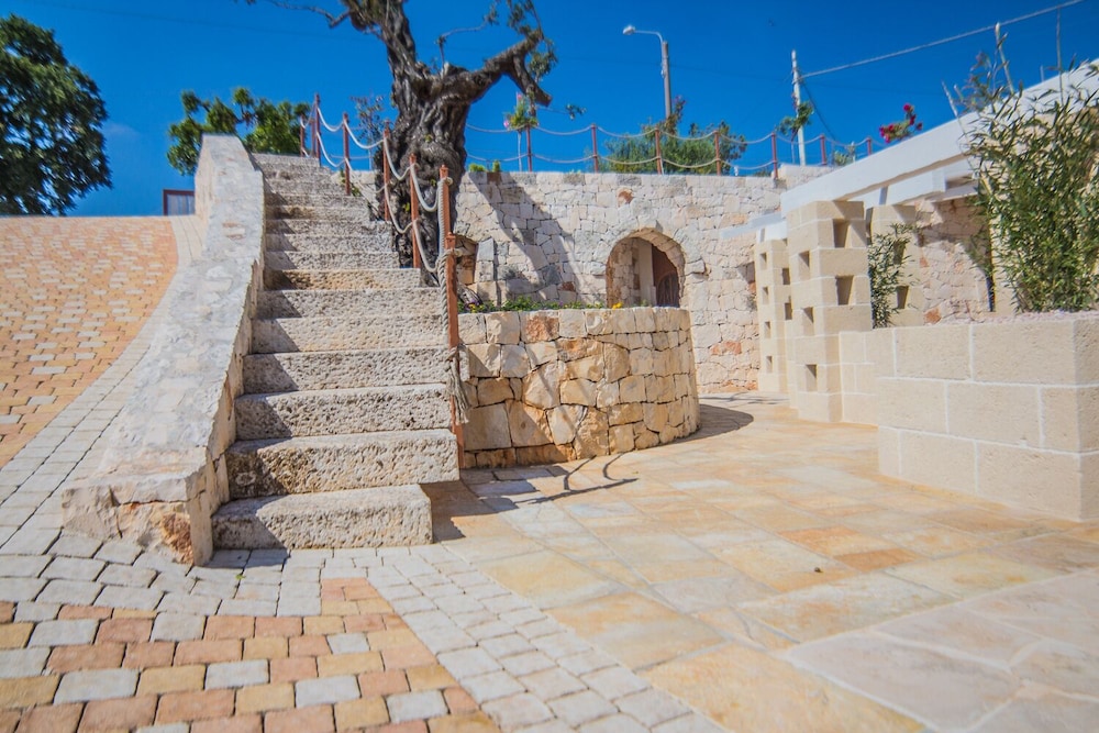 Photo 47