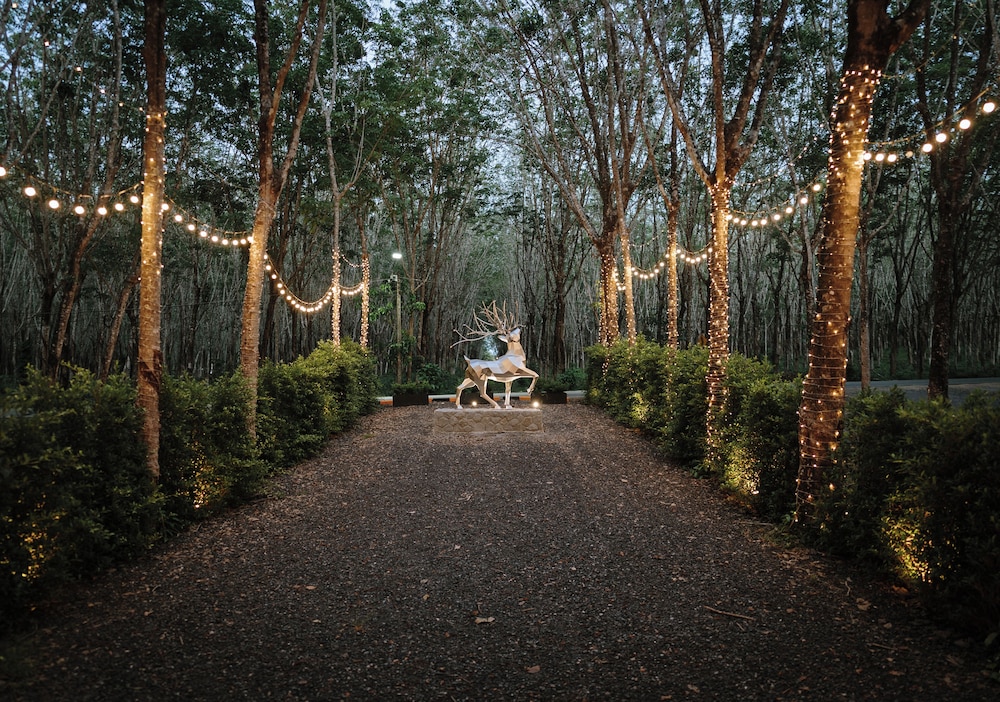 Timber Society Boutique Hideaway