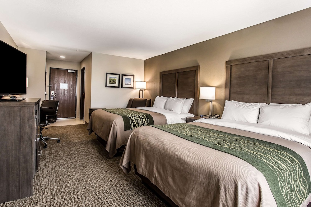 Comfort Inn & Suites Snyder