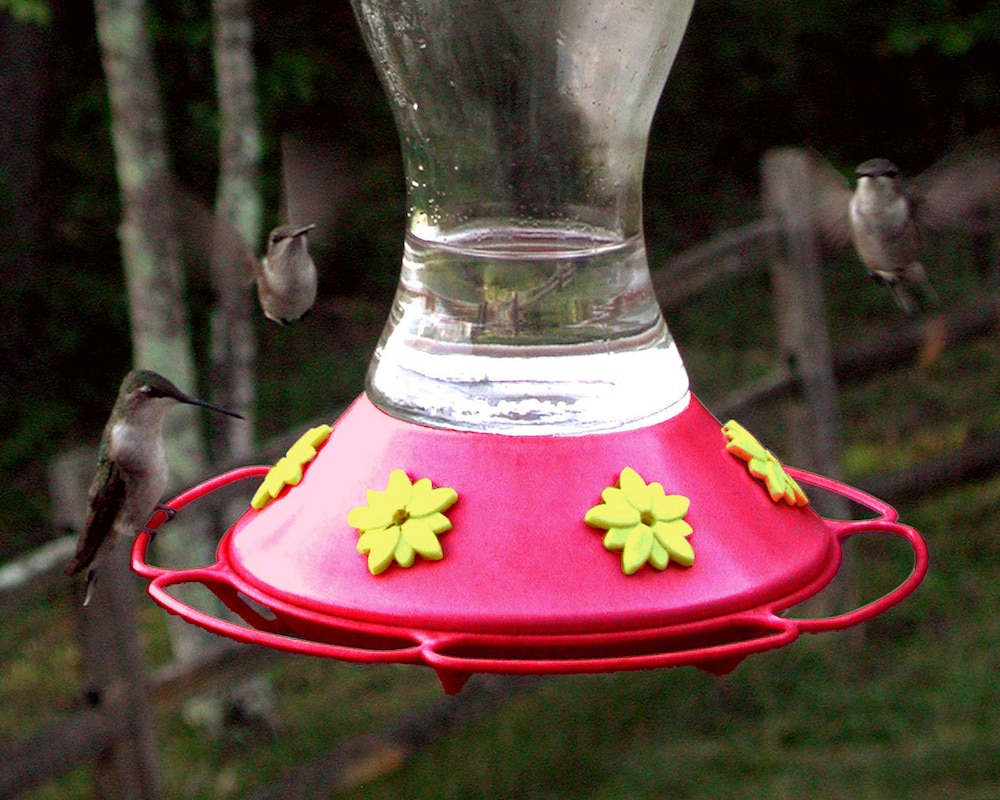 Monterey Vacations - Garden Inn Bed  Breakfast at Bee Rock - Property Image 21