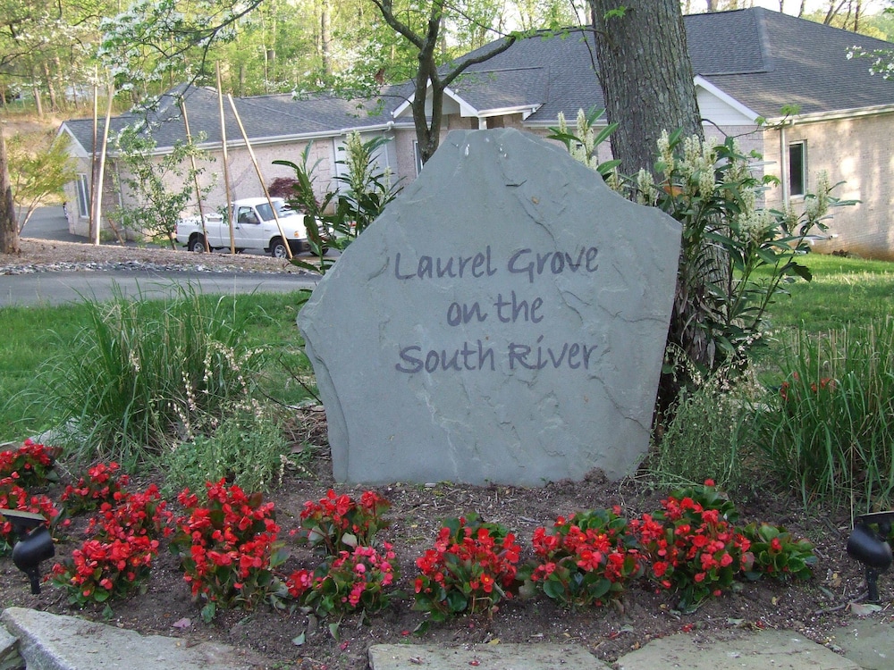 Photo 45