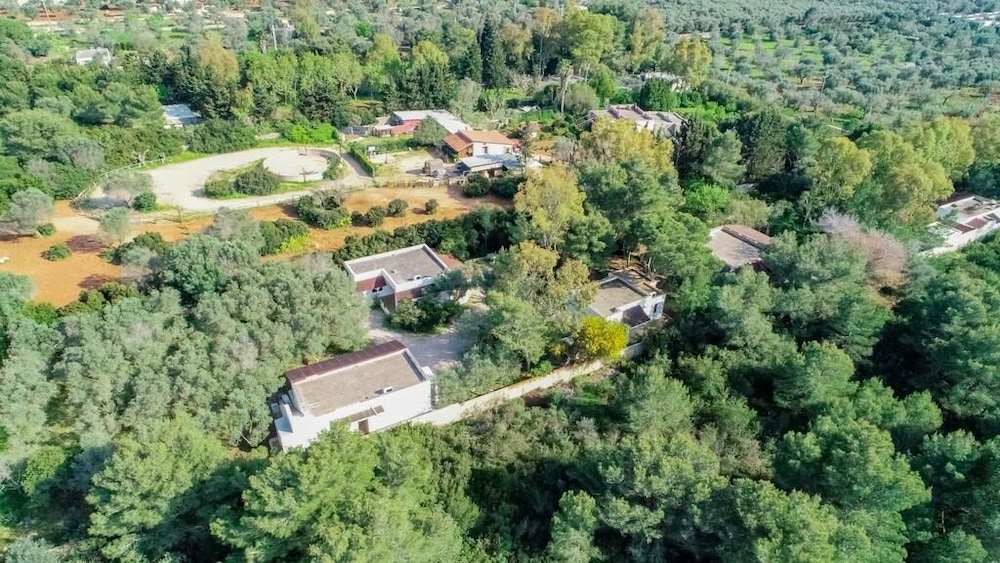 Tenuta la Saracina view 4