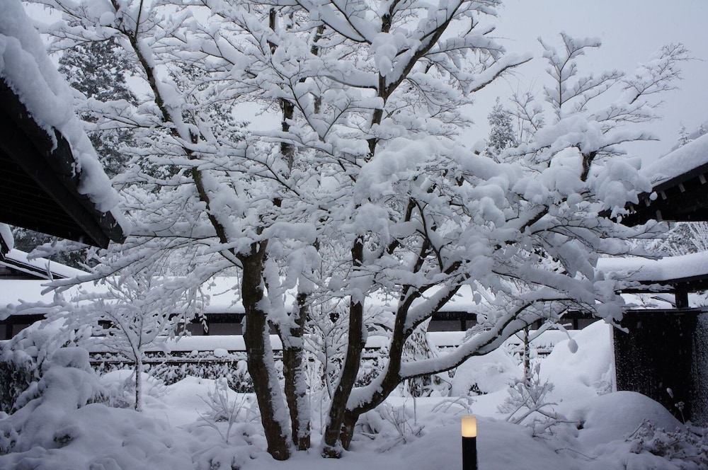 KAKUREAN HIDAJI - Adults Only