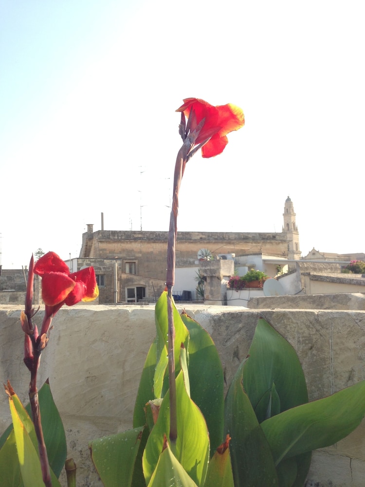 Le Giravolte B&B