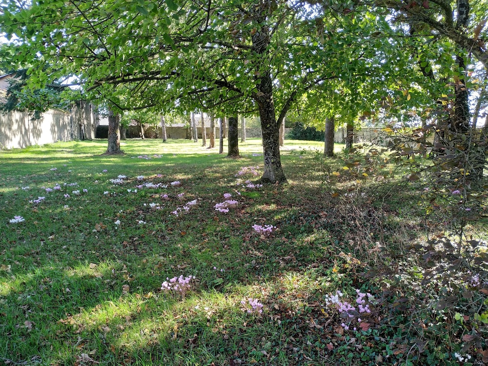 Photo 45