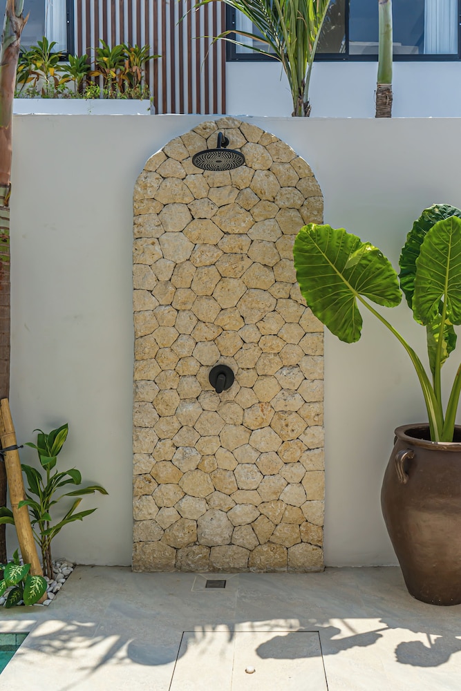 Nova Oasis 1