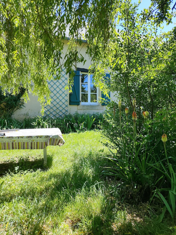 Photo 43