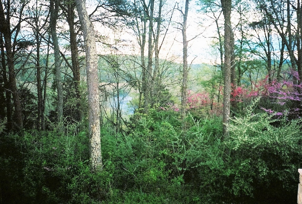 Lexington Vacations - DeHart Cabin - Property Image 1