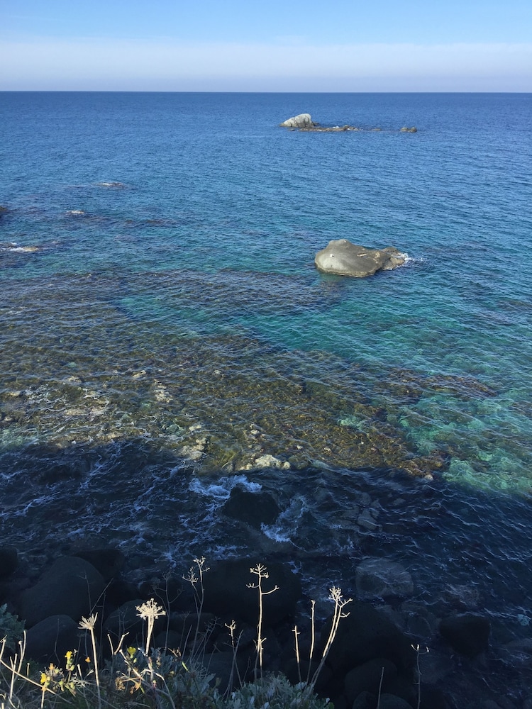 Harbour View