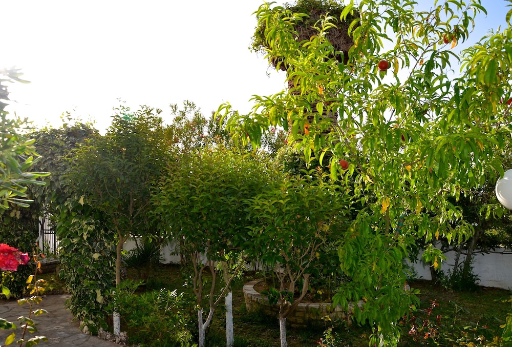 Photo 19