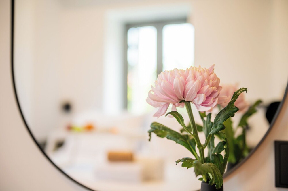 Cardamilia Suites