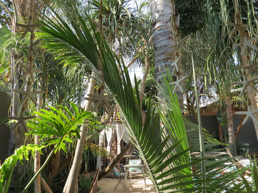 Cocomo Guesthouse, Spa and Conference Centre