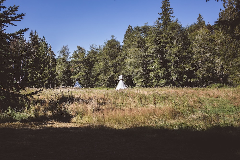 Mt. Rainier Ranch