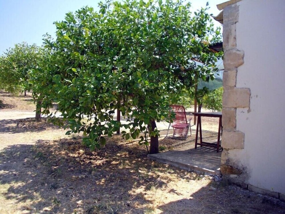 Photo 33