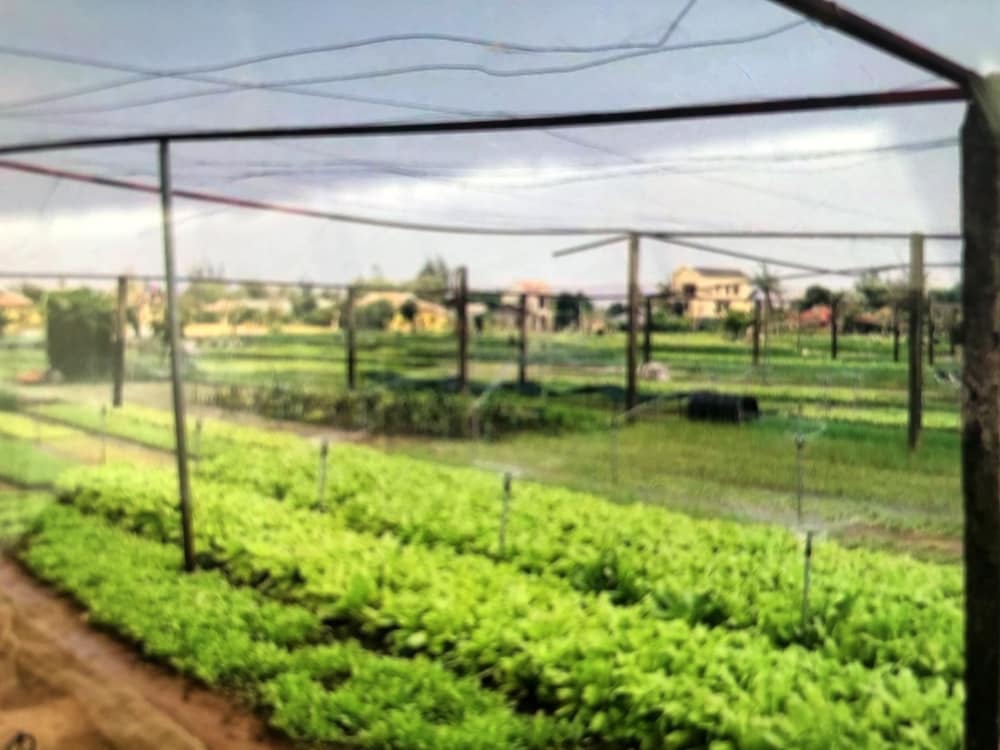 An Bang Garden Homestay