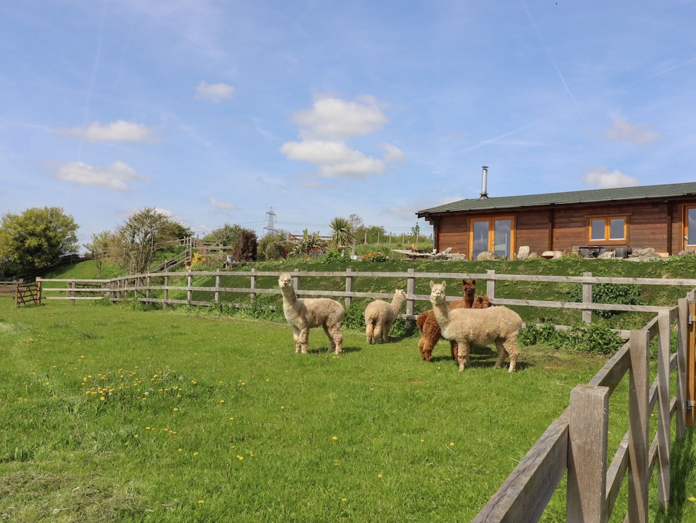 Tilly's Lodge