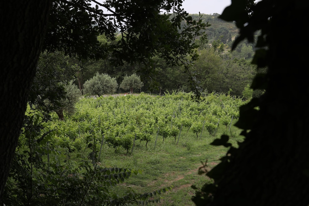 Borgo Rosso di Sera Resort Country Chic, Billede 97