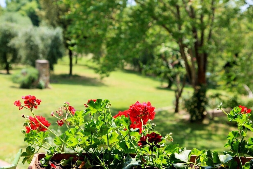 Podere Agrituristico Luchiano