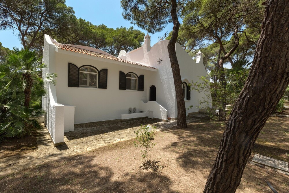 Villa Denise, photo 41
