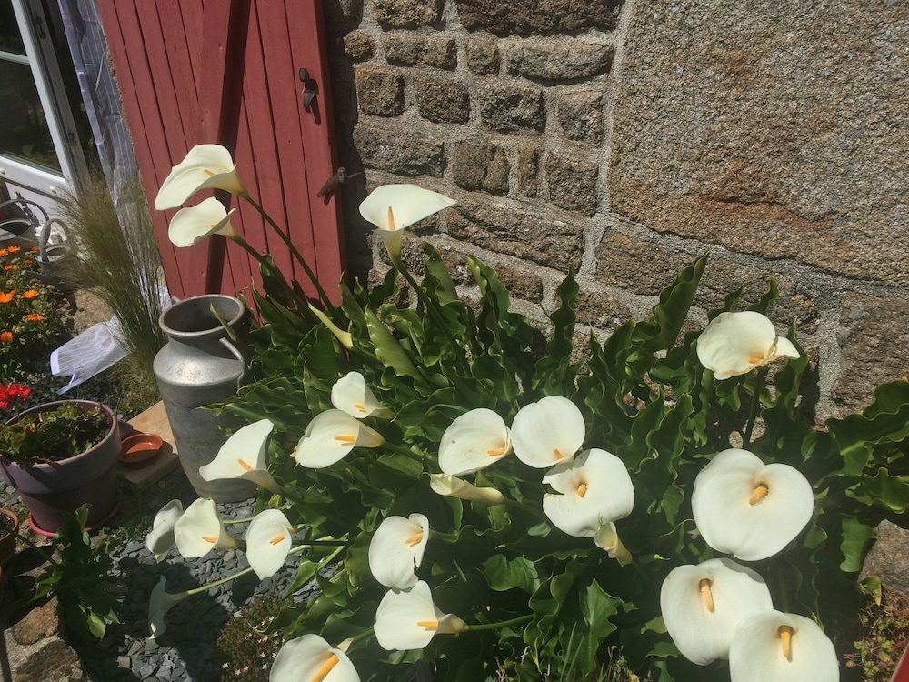 Photo 41
