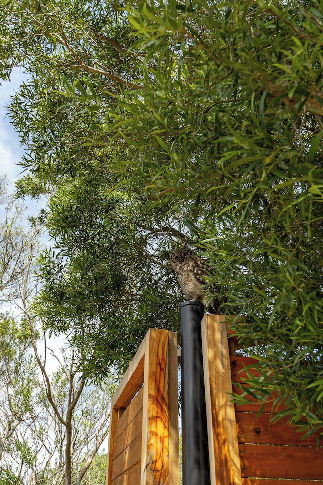 Luxury Eco Villa, Hout Bay, Cape Town,south Africa