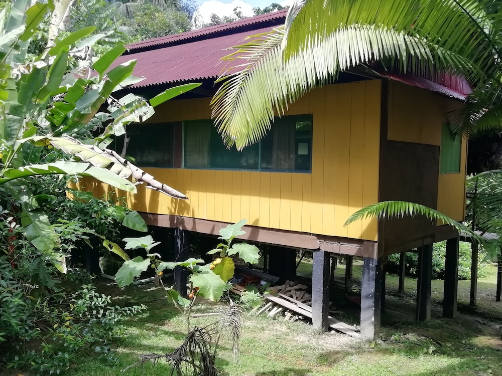 Amazon Wonder Expeditions