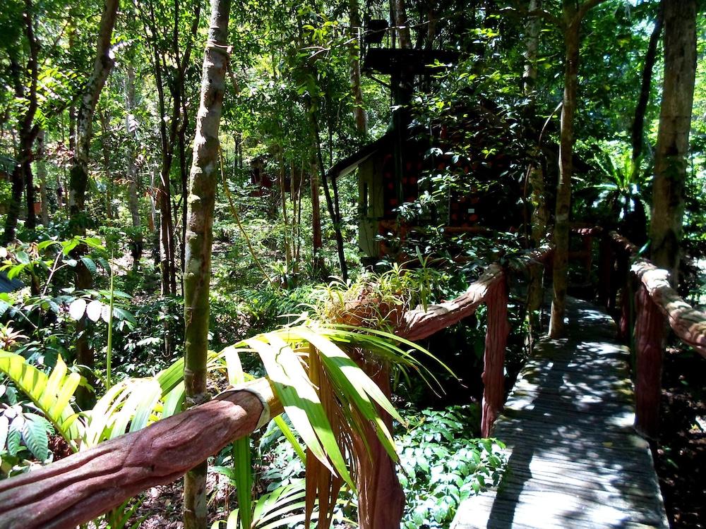 Khao Sok Tree House