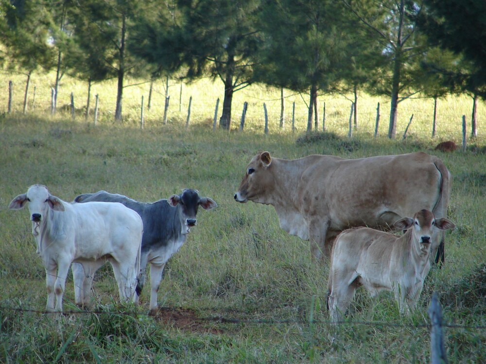 Hotel Fazenda Vale Formoso