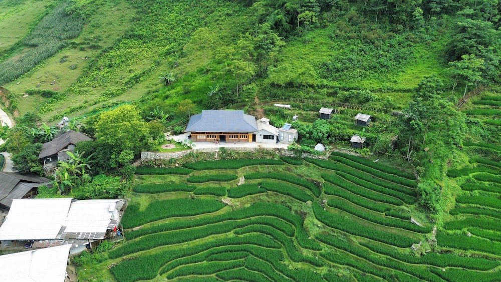 Bees Homestay Sapa & Trekking