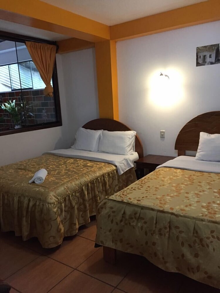 Hostal Bromelias 2
