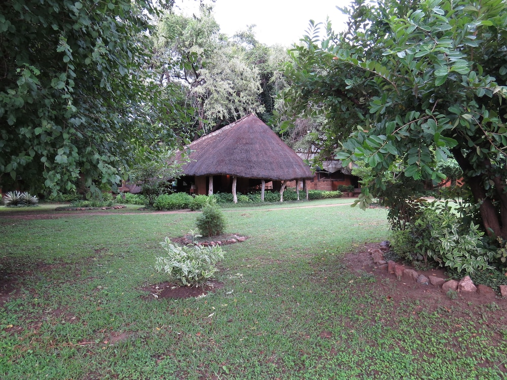 Croc Valley Camp