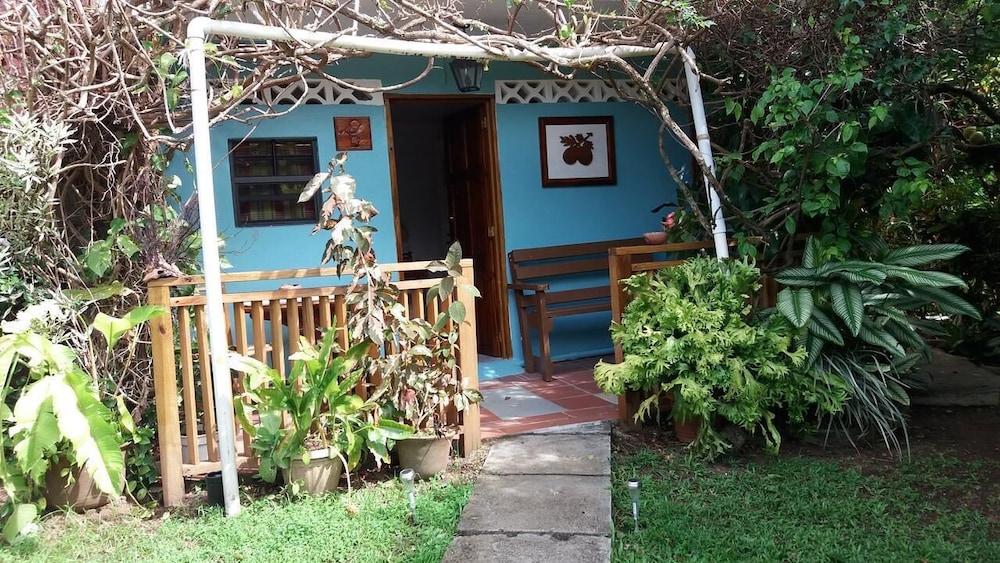 Cocoa  Pod Studio