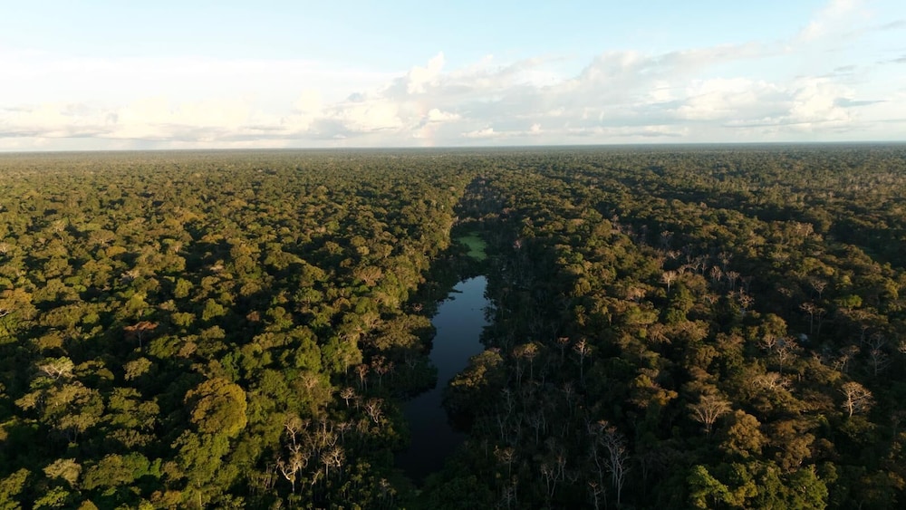 Amazon Jungle Expeditions Lodge