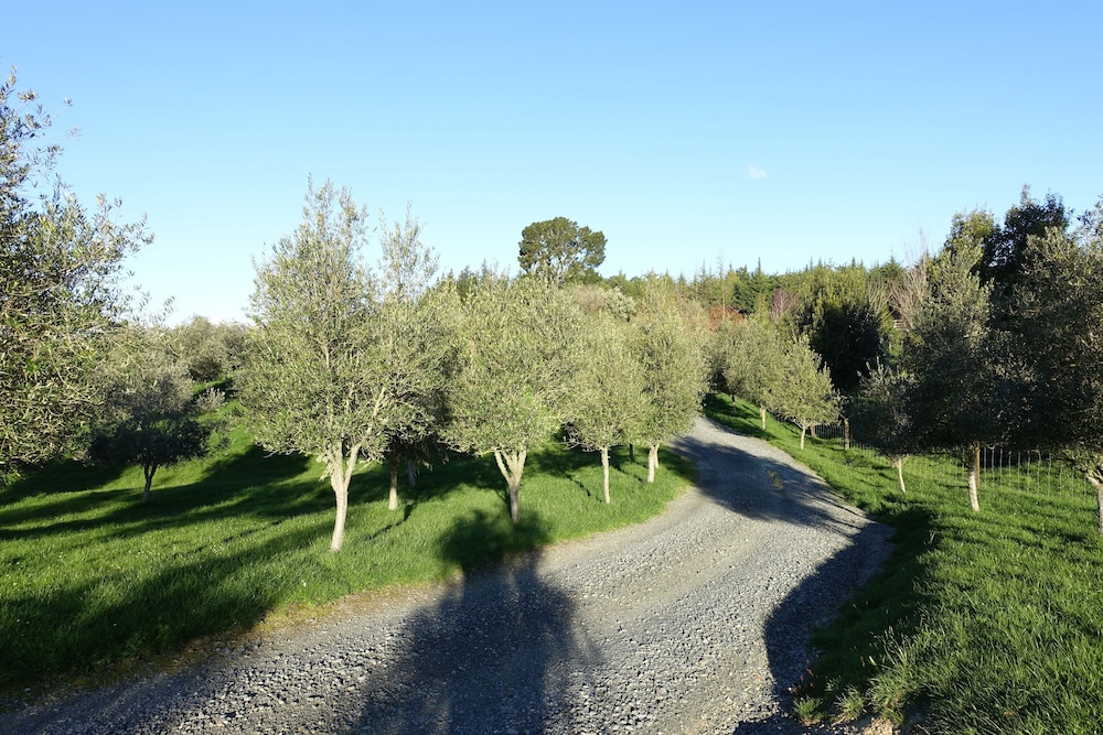 Tasman Hill Lodge - Adult Only