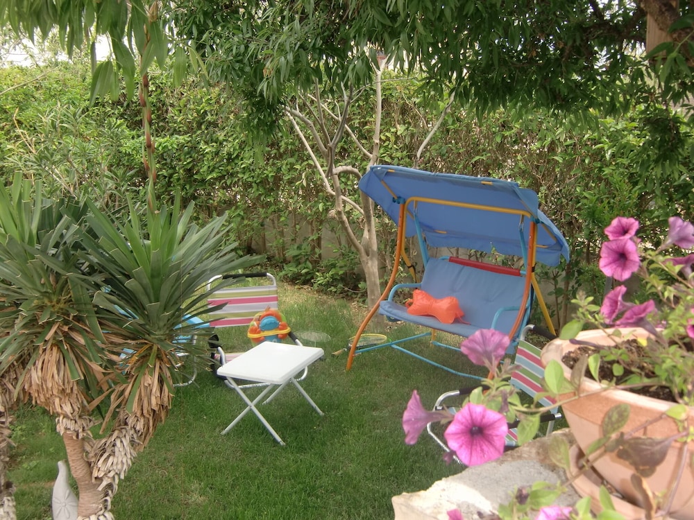Photo 42