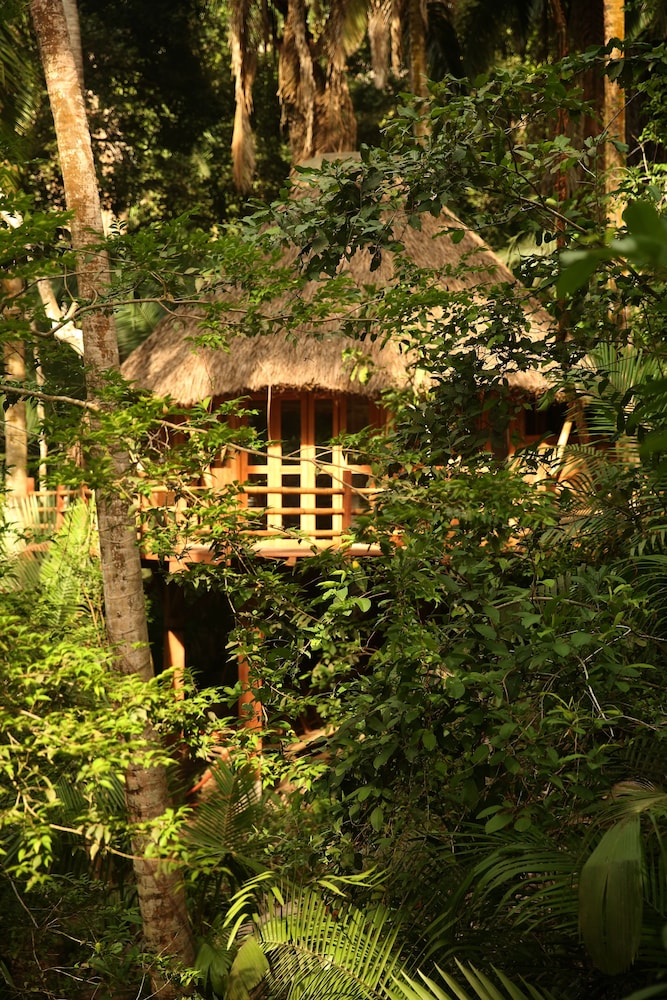 Hotel Aldea Bamboo Village - Glamping - Image 1