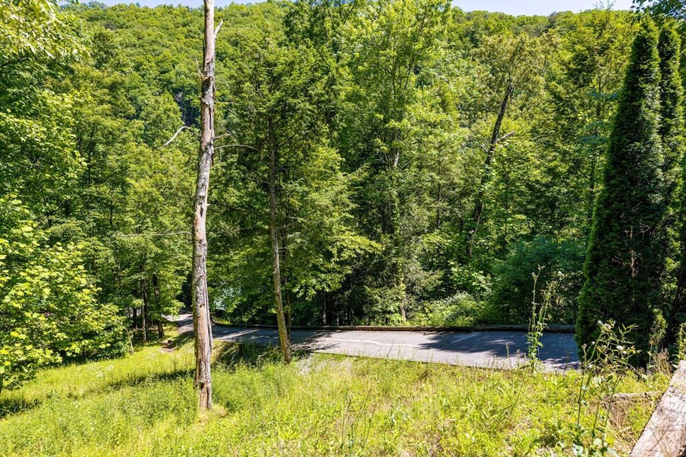 Secluded 3BR Cabin w Hot Tub Dog Friendly Sleeps12