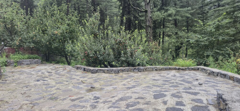 The Orchard Retreat VanVaas