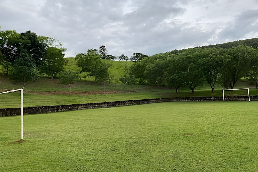 Fazenda Realeza