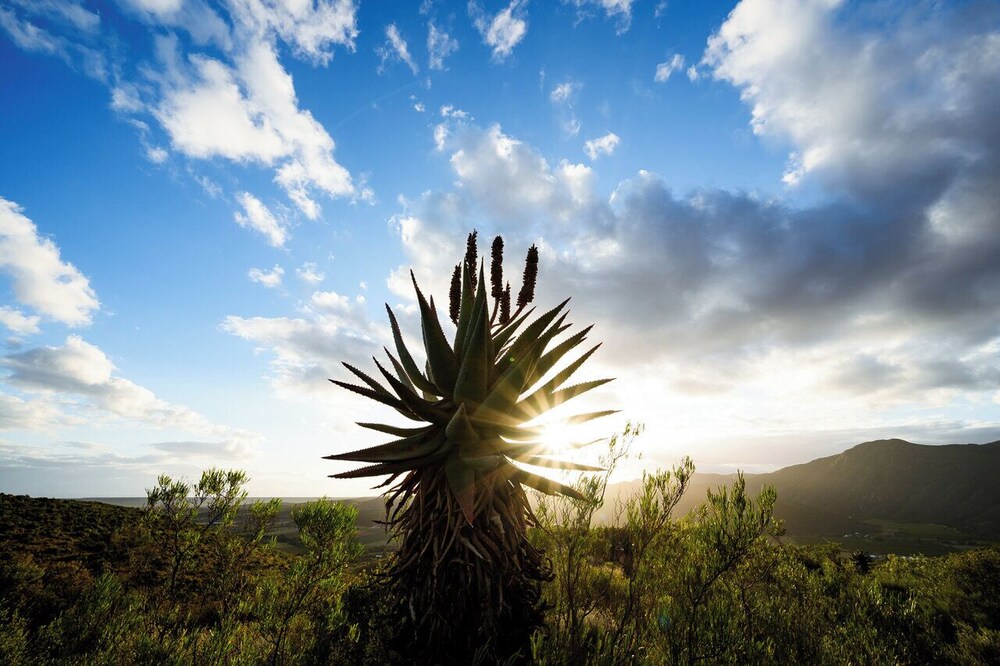Le Petit Karoo