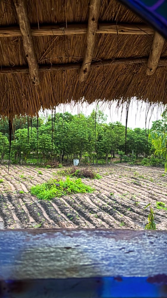 Wassado cultural lodging